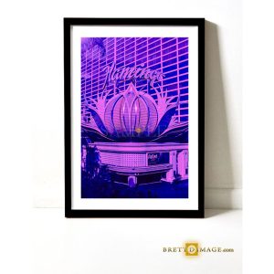 Pink Vegas 1