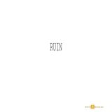 collection blurb Ruin